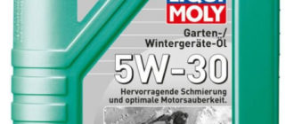 LIQUI MOLY Garten-Wintergerate-Oil 5W-30 CF/SN C3 1 л