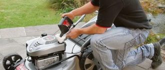 Какое масло заливать в газонокосилку